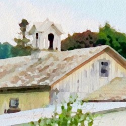 Cummington Barn Roofs